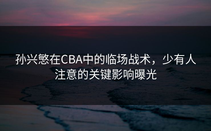 孙兴慜在CBA中的临场战术,少有人注意的关键影响曝光